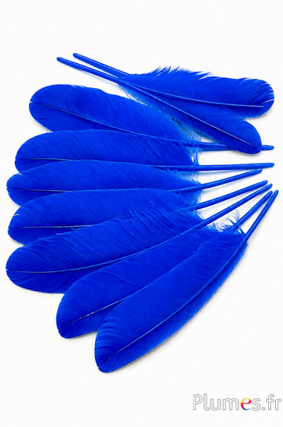 Cigno seta - 25-30 cm - blu